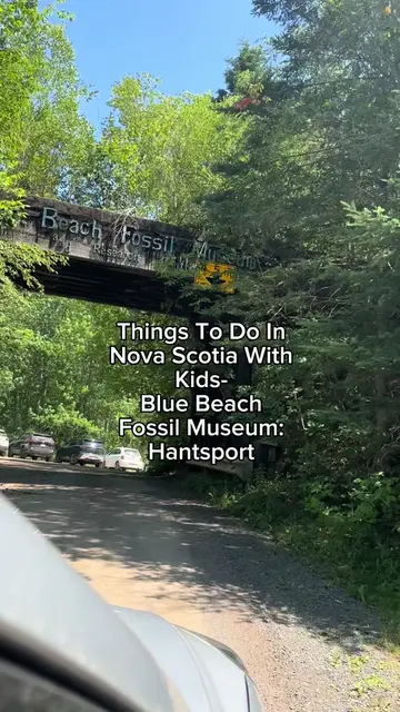 Things to do in Nova Scotia with kids 🦴 Today’s Adventure: Blue Beach Fossil Mu