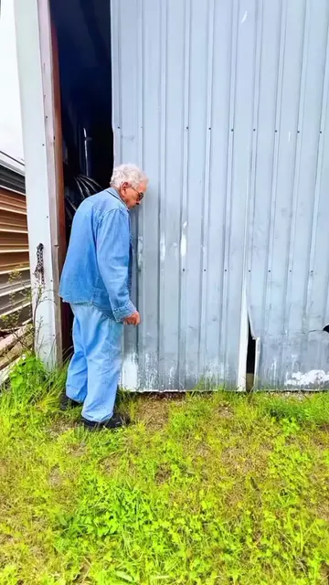 ‎One forgotten Mustang. One heartbreaking promise. Wait until you see what happe