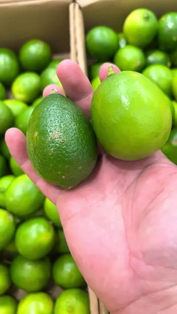 How to choose citrus fruit 🍋‍🟩🍋🍊  Look for the plump fruit with smooth skin.