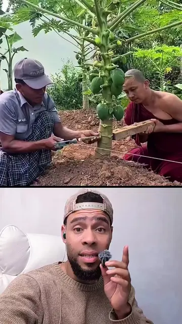 Sèkre Ki Fè Thailand Fè Anpil Papay #storytime #papaya #thailand #ayisyentiktok�