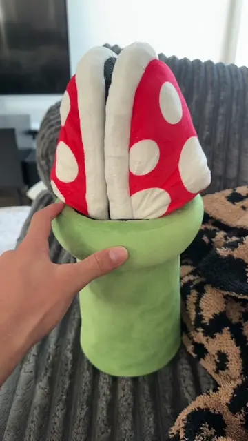 #mario #mariokart #mariobros #slippers #slipper 