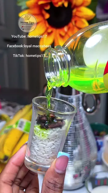 ​I Poured Lysol Over Rice and Cloves and My Entire House Smells Like a Luxury Ho