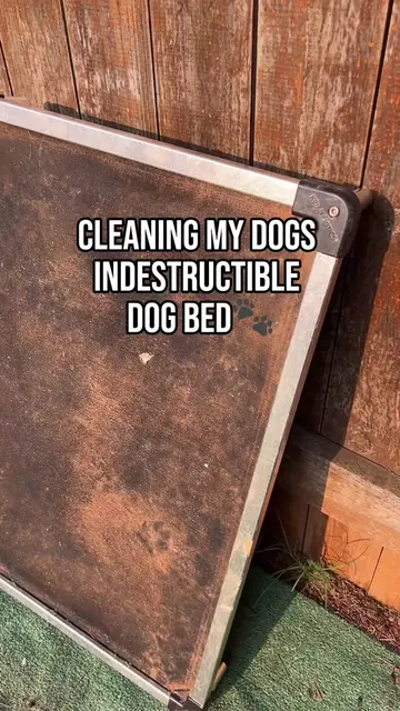 How many ?😅 #CleanTok #dogsoftiktok #dogmomlife #cleaningszn #satisfyingcleanin