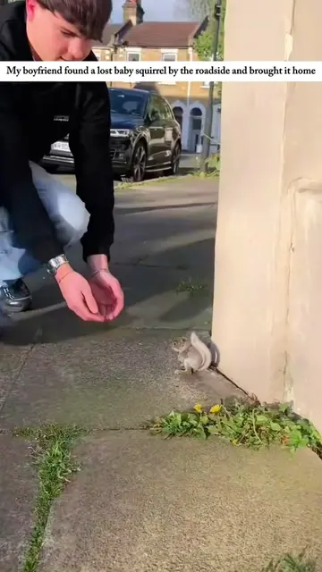 Rescue a baby squrrel . #animals #squirrel #animallover #pet #fyp 