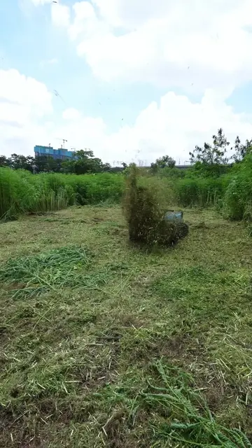 Turnover speed, terminal strength,early edge — all from KOHAM 2026.#RemoveWeed#K