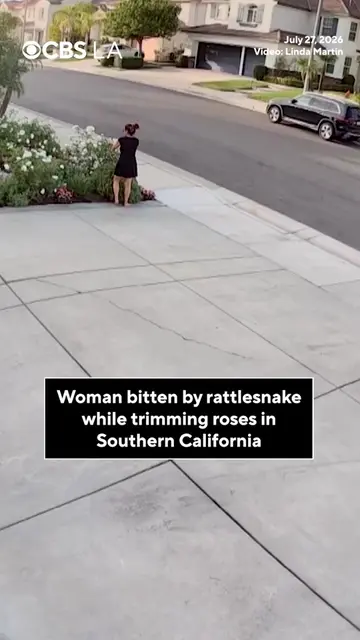 Linda Martin was just trying to trim her roses when her security cameras capture