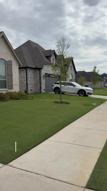 I’ve spent months getting my front yard going. Now it’s time to give the backyar