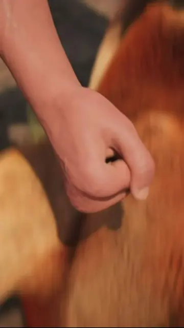 What Happens Aftee A Kangaroo Is Born? 😮 #fyp #3danimation #kangaroo #xyzbca #L