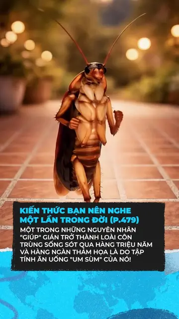 Nhờ vậy mà d.iệt một con thành ra nguyên tổ nè #clmedia #cllifestyle #giadung #n