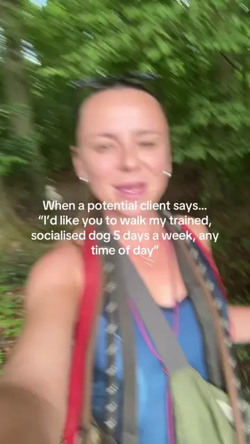 Yeah hun course, I’ll start tomorrow?! #dogwalker #dogwalking #dogtok #dogmum #c