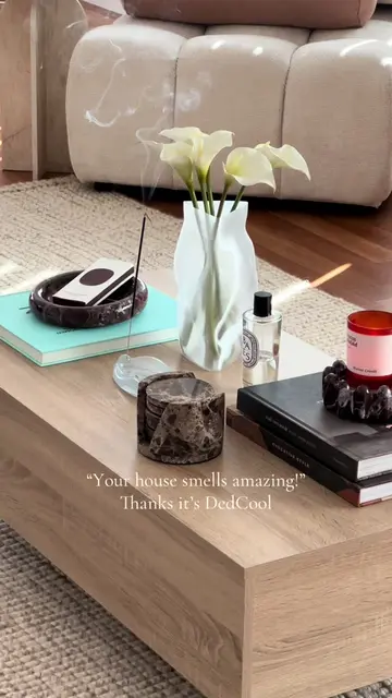 Worth every penny. #homefragrance #incense #incenseholder #smellgood #homedecor 