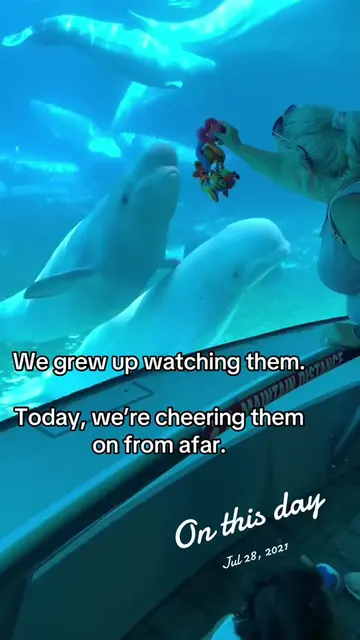 For so many families in our part of Ontario, Marineland was part of childhood. F