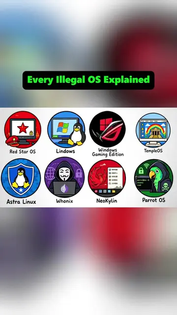 Every Illegal Operating System Explained (Temple OS) #os #temple #terryadavis 