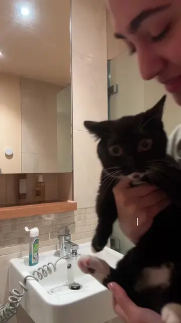Bath my cat w me🐈‍⬛ 🧼 بیاین پانچی رو باهم حمام کنیم🐈‍⬛🧼 #دختر_ایرانی #دخترون