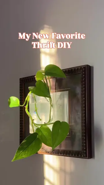 Return of the best cheap thrift diy!  Step 1: Thrift a frame ($2) Step 2: Thrift