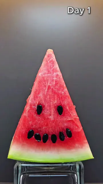 🍉 Watermelon — 10 Days Without a Fridge in 5 Seconds ⚡️ #Shorts  #Watermelon #F