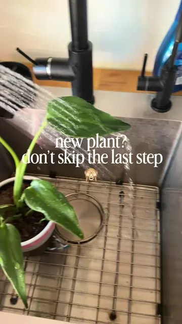 I have brought pests into my house before by NOT doing these steps!! Not worth i