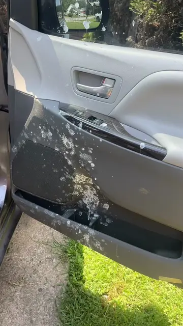Do I just throw the whole car away?! Either need a really good detailer in the N