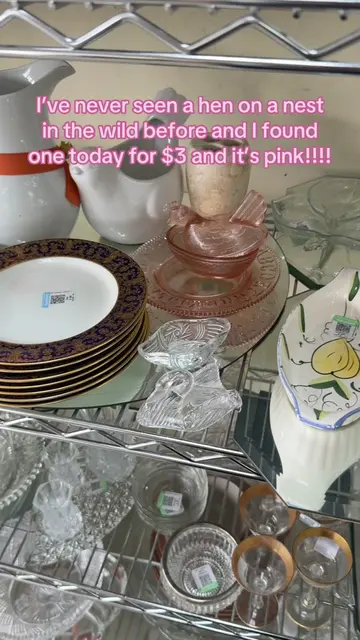 I actually gasped!!!! She’s perfect 🥹💖 #henonnest #goodwillfinds #thrifting #t