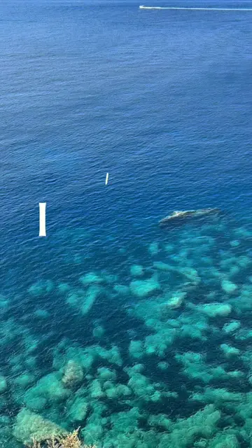 Jour 2 en Corse 🧡🏵️🍊 #corse #corsica #Vlog #summervlog #summer2026 