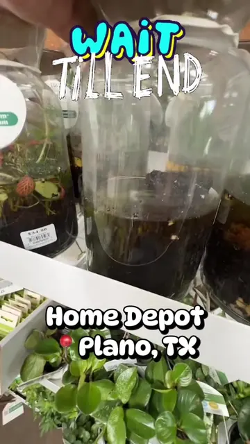 🌿 We are back home but made another stop on the drive home from Dallas… @The Ho