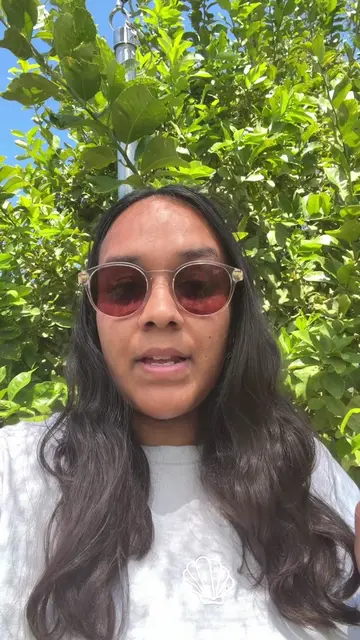 There is no time to cry over your burnt and dead plants from the desert heat!!! 