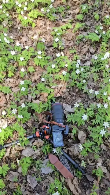 f/2.8 vs. f/22 📸 Which aperture is best for photography ❓Let this 🌸 tell you👇