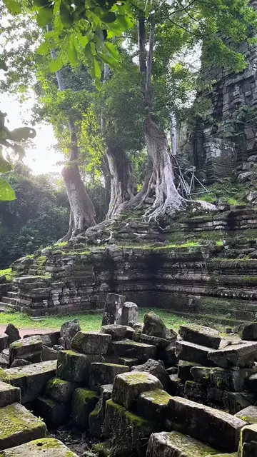 ខែនេះពេញស្អាតហើយនៅប្រាសាទបាលិលេយ្យ🍃🌿🌧️ #momoshe #សៀមរាបទឹកដីអង្គរ #siemreapca