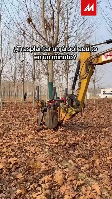 Esta pala trasplantadora para excavadora está diseñada para proyectos de paisaji