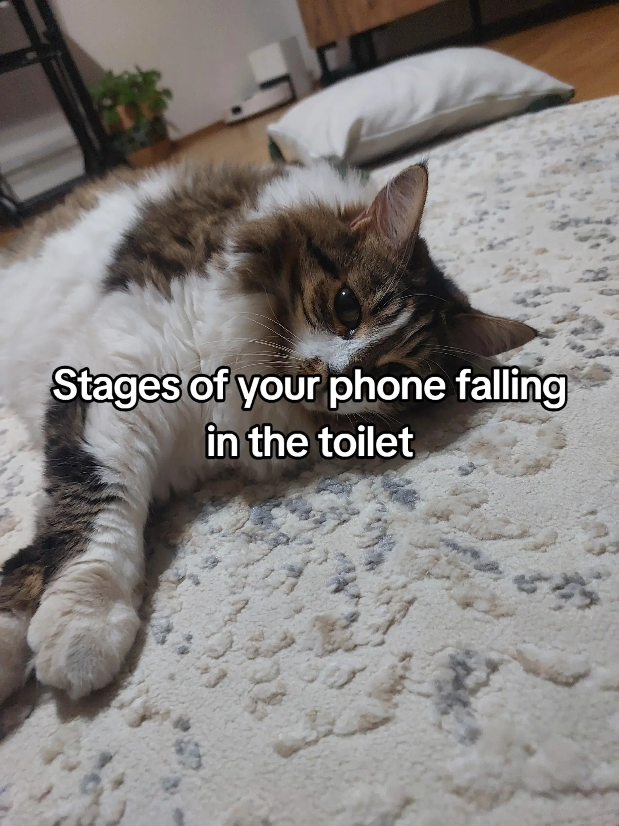 Yes this is my phone every day #cute #samsung #techtok #fyp #xiaomi 