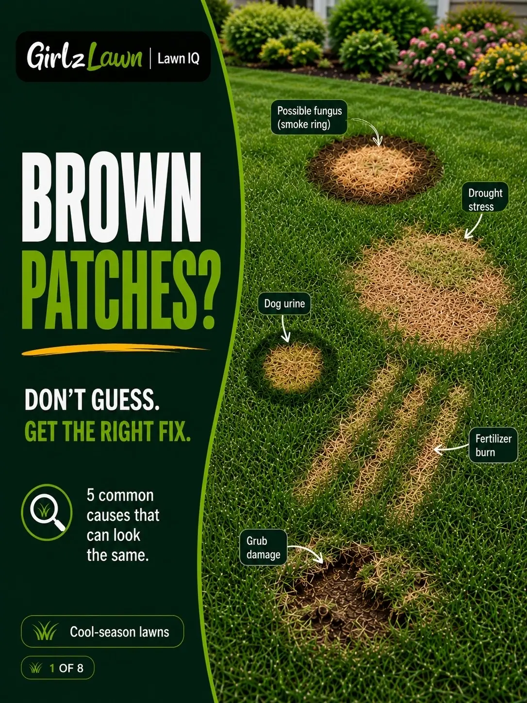 Brown spots don’t always mean lawn fungus. 👀 Brown patch disease, drought stres
