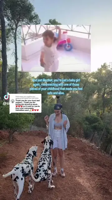 Απάντηση στον χρήστη @ΕΚΠΑΙΔΕΥΣΗ ΣΚΥΛΩΝ  Η γνωριμία με ένα Δαλματίας είναι το πρ