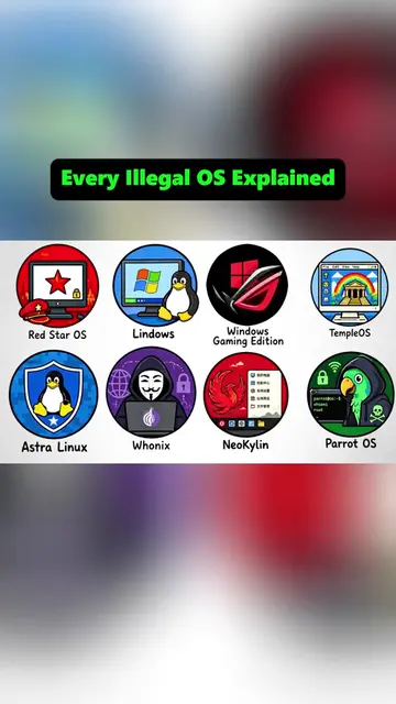 Every Illegal Operating System Explained (Whonix) #os #techeducation 