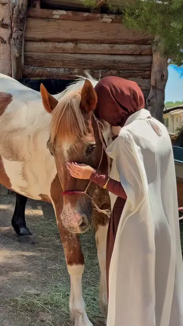 if I disappear find me at the stables🤎