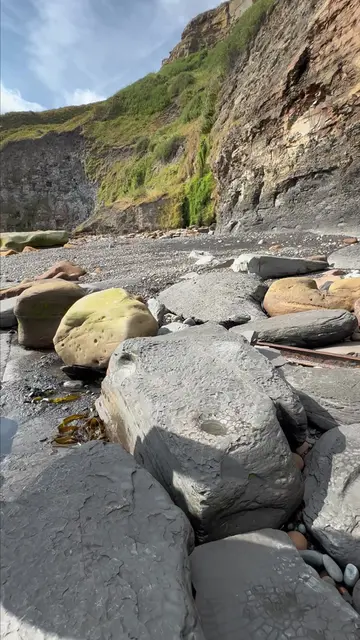 We went fossil hunting on a Jurassic Coast beach and searched for hidden treasur