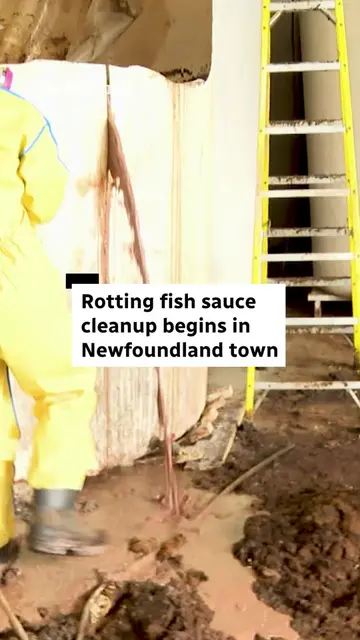 Close to a million litres of rotting fish sauce have been baking in the heat for