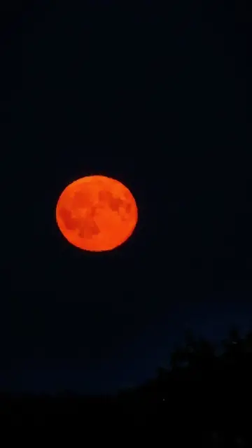 BUCK MOON 2026 🌕🦌 #buckmoon #moon #fullmoon #july #fy 