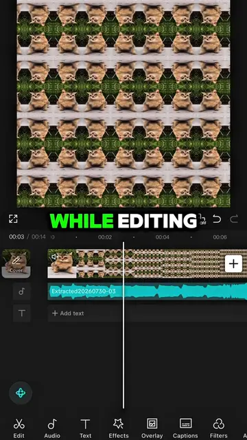 #CapCut Follow me for more tutorial! #capcutpioneer #capcutphoto #capcut_edit #f