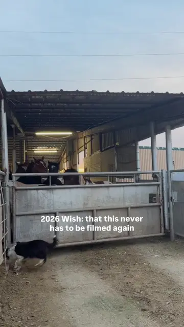 This is what it looks like when time runs out. Horses loading because that’s wha