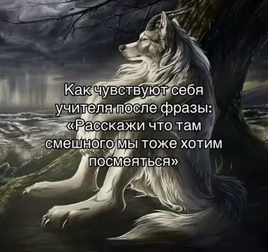 Смешно не могу #щп #щитпост #wolf #teacher #fyp 