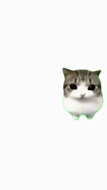 root root bidi bidi  this cat uses root btw #cat #damdamdidididitrend #cutecat #
