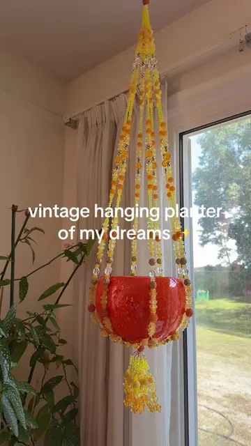 Ahhh what plant would you put in here? I’m obsessed #hangingplanter #vintage #ho