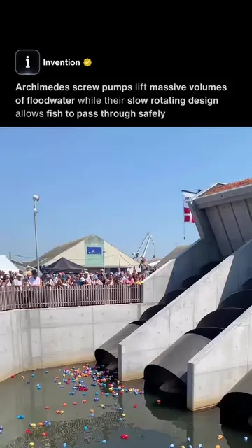 Original Video Credit: IG/villagertrud Hundreds of rubber ducks are released int
