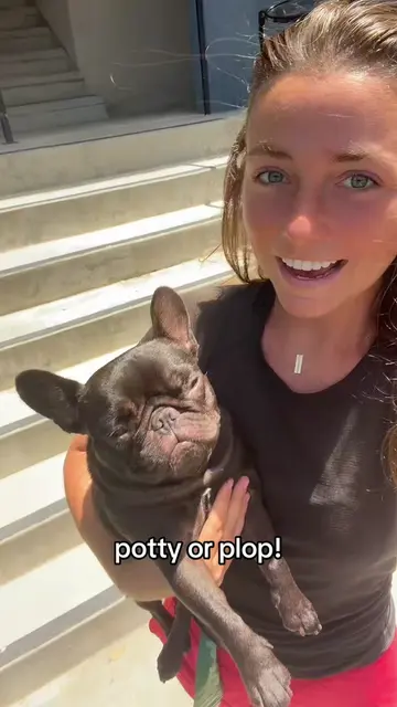plop count for this potty outing: 3 #potty #sunbathe #frenchie #frenchbulldog #m