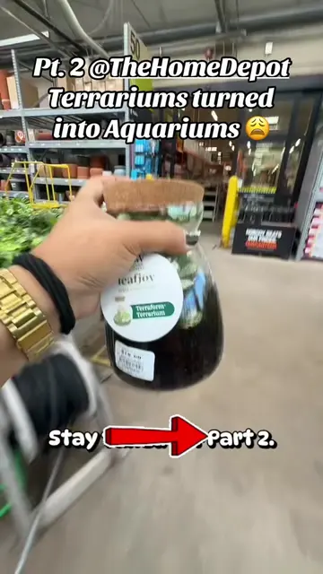 Part 2: I had to say something. 🌿💧 I stopped by customer service to let them k
