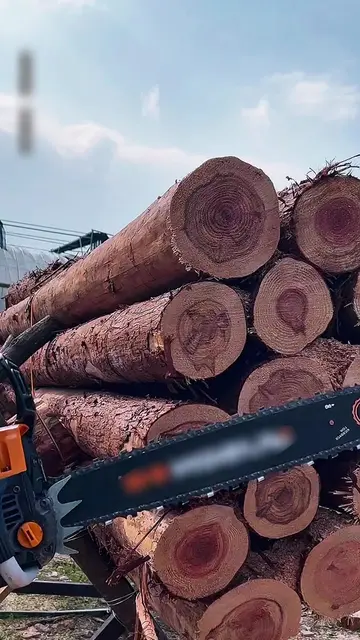 R&D team upgrades new chainsaws monthly to optimize power, fuel consumption and 