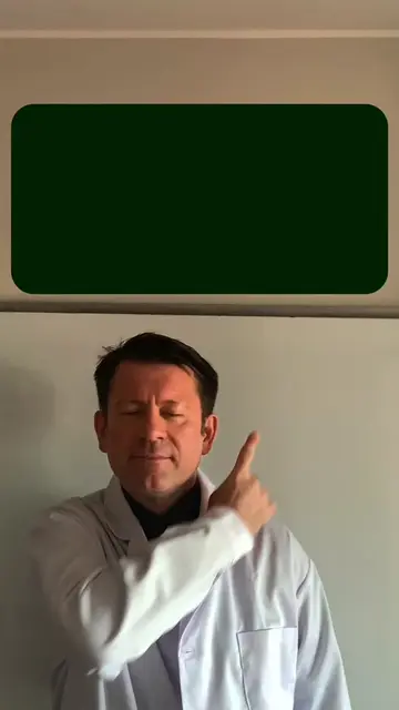 Quei pallini colorati su WhatsApp non sono lì per decorazione: stanno analizzand