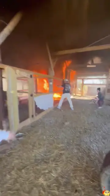 The Warmest Rescue#FirefighterRescue #HeroesAmongUs #AnimalRescue #FaithInHumani