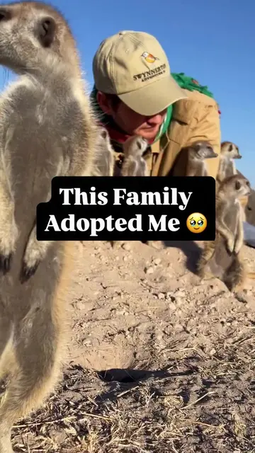 When Timon and his family accept you 🫶❤️ Follow Jack Swynnerton for more incred