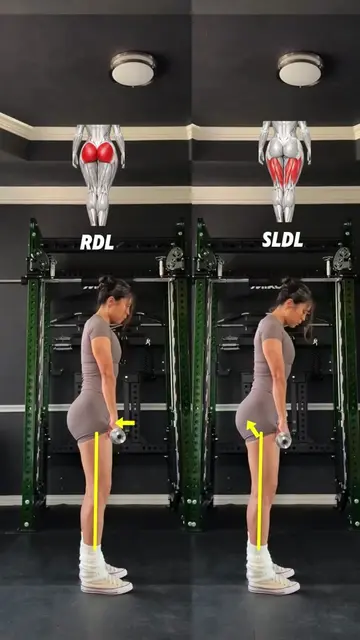 RDL vs. SLDL know the differences, more glutes vs more hamstrings  #gluteworkout